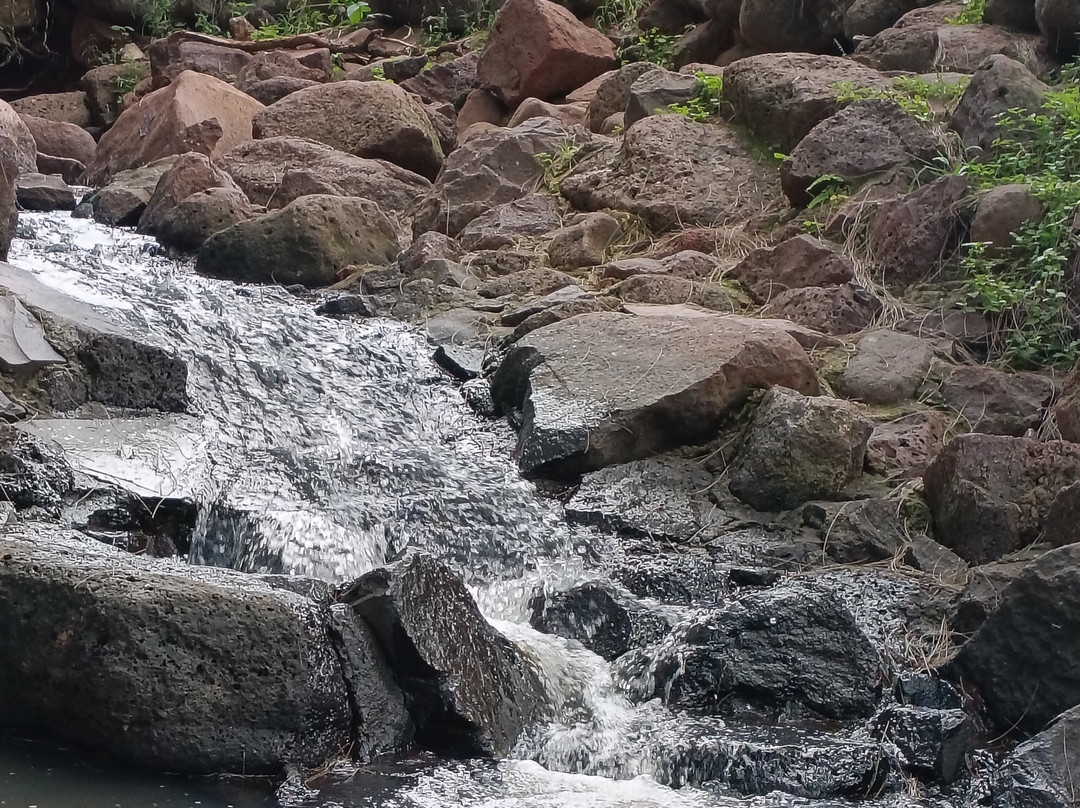 Parque Bicentenario Puente de Calderon-Zapotlanejo必去景点