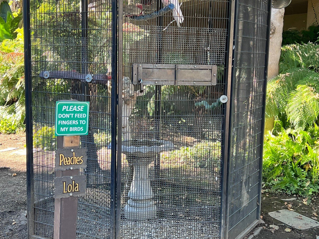 Appellation Lodi - Wine & Roses Resort And Spa主图