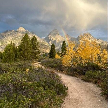 杰克逊酒店主图