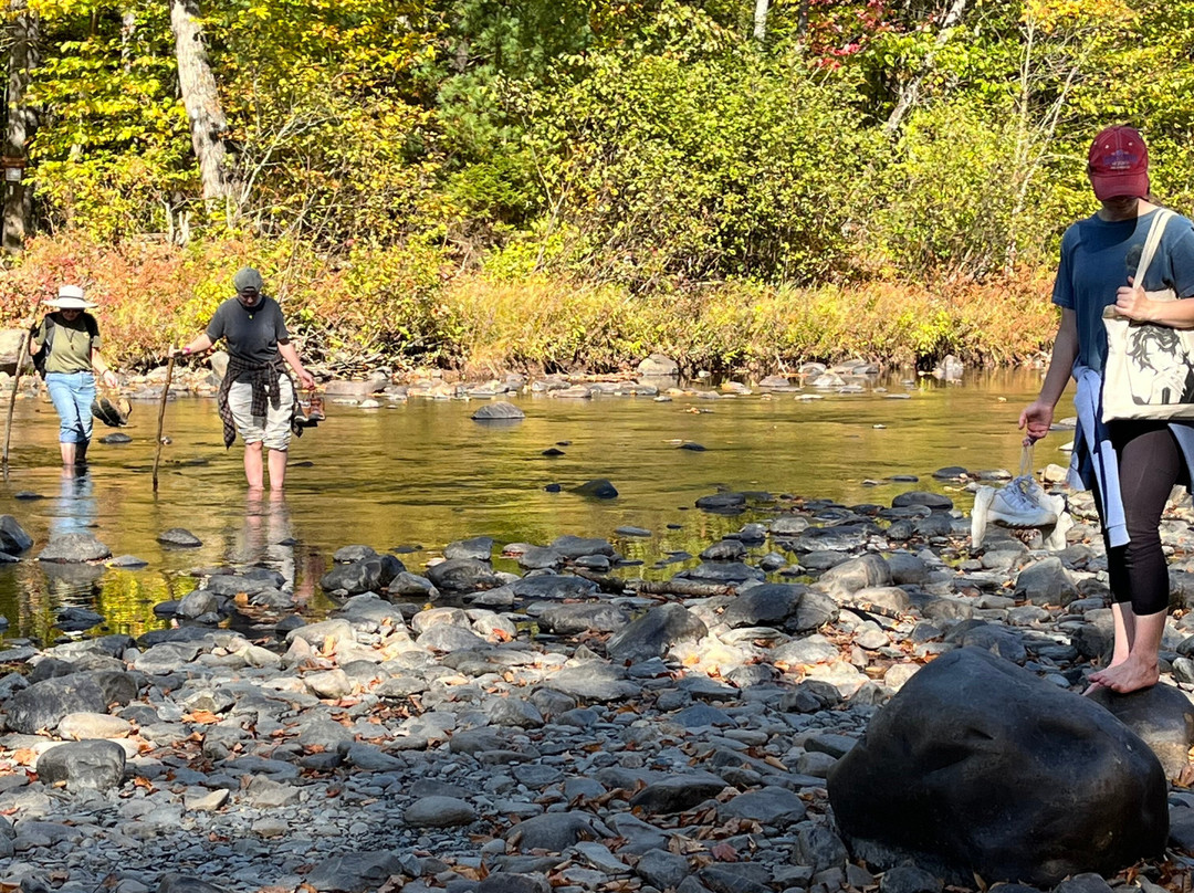 Screw Auger Falls-Newry必去景点