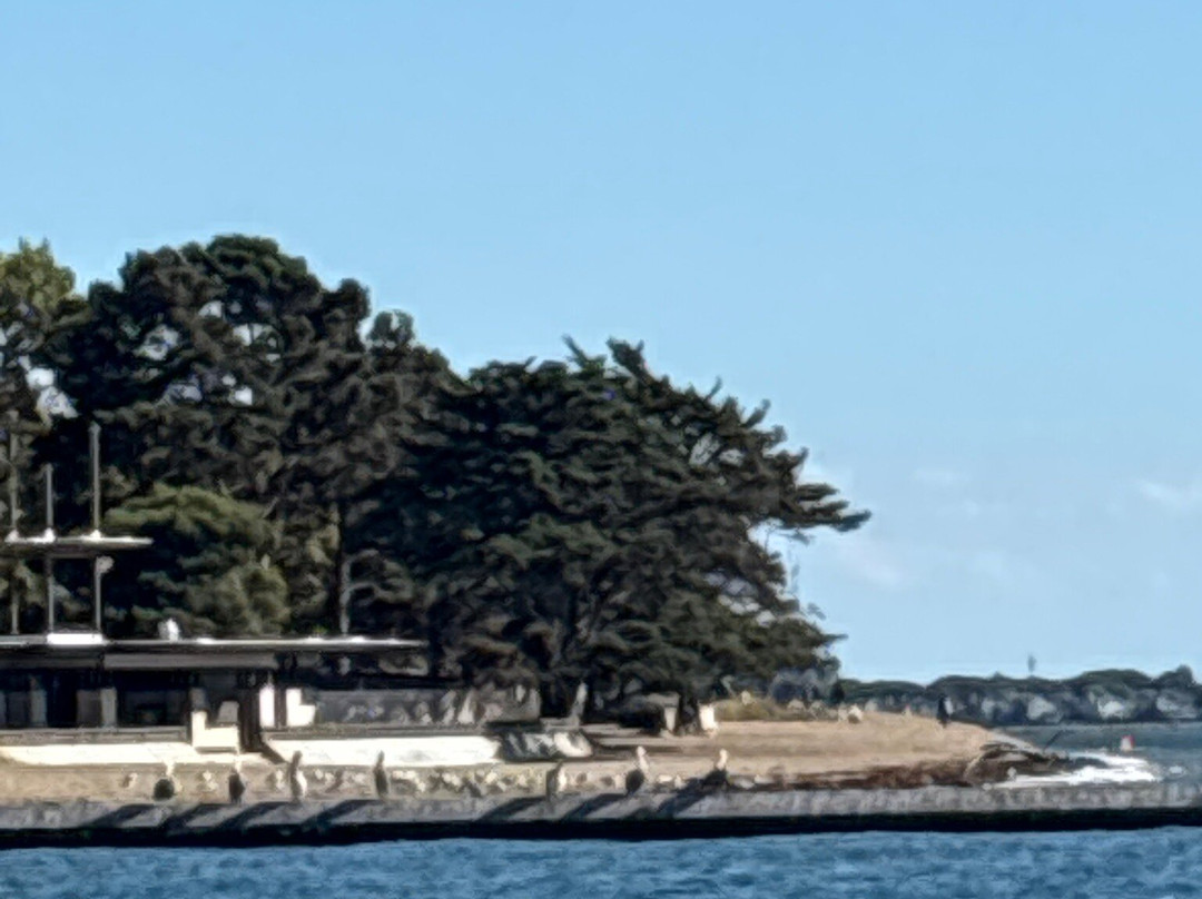 Crown Memorial State Beach-阿拉米达必去景点