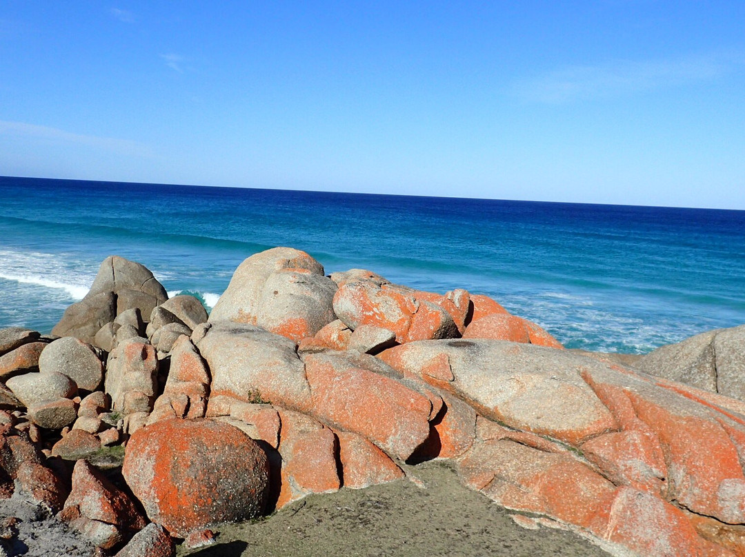 Tasmanian Expeditions-Invermay必去景点