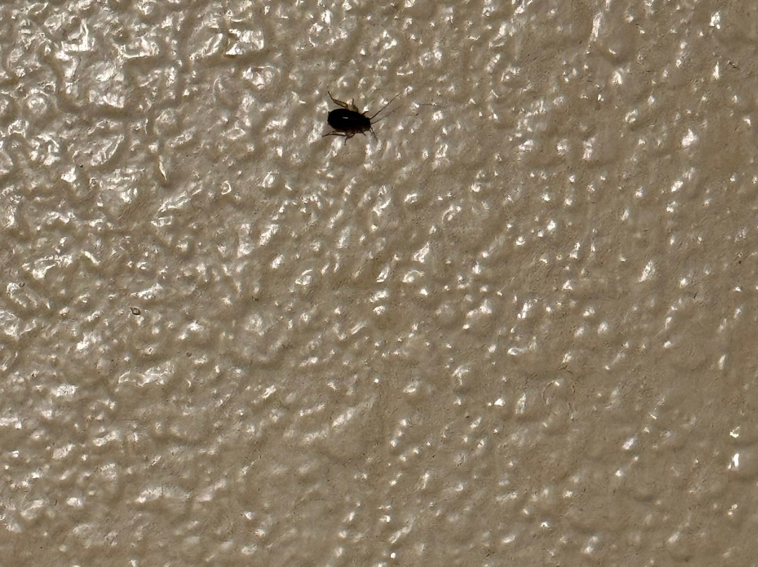 Econo Lodge East主图