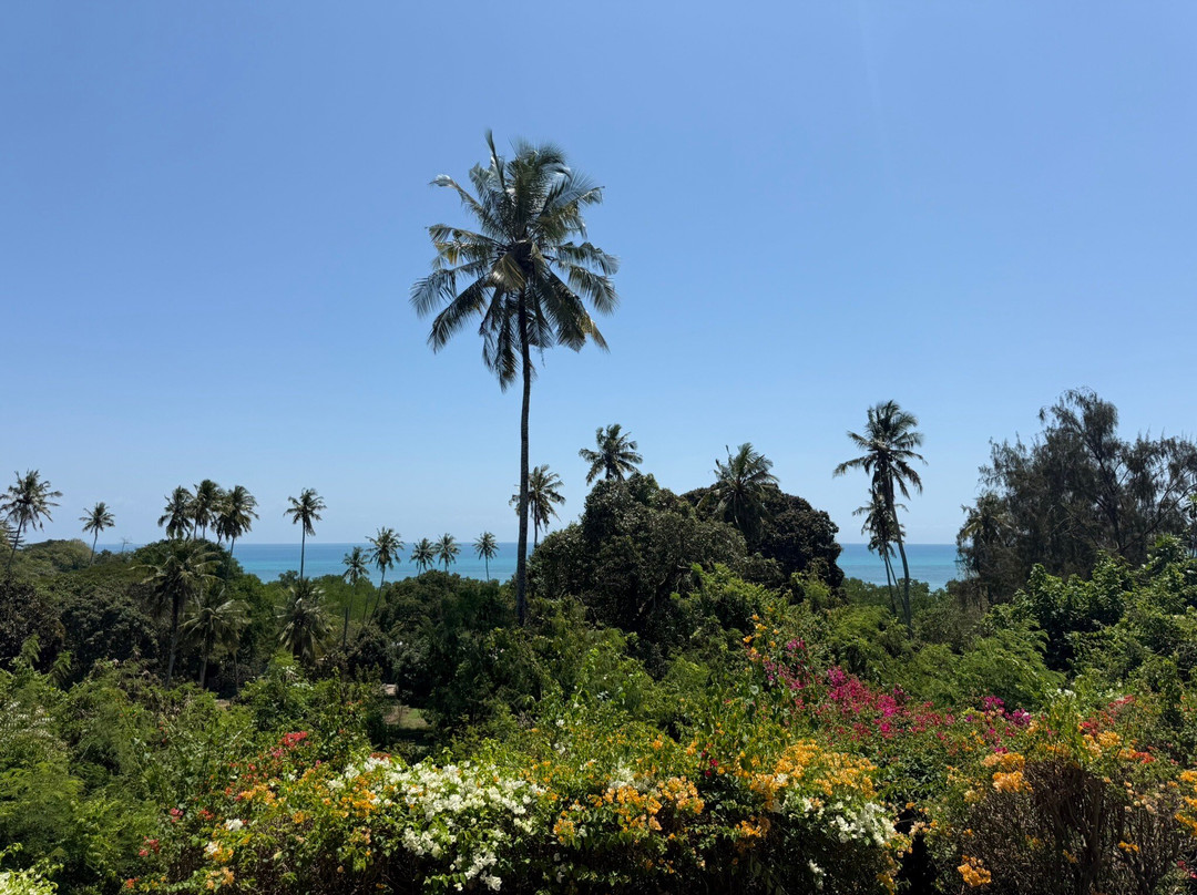 The Manor House by Sansi主图