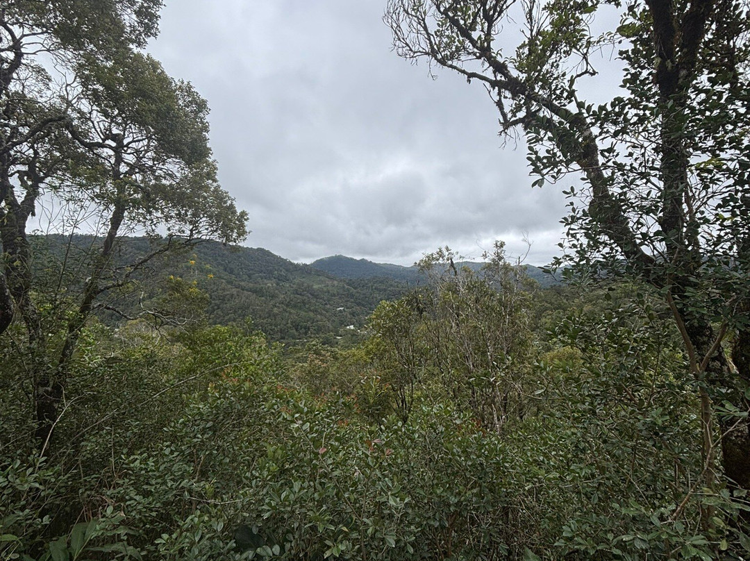Mirindra Adventures-安塔那那利佛必去景点