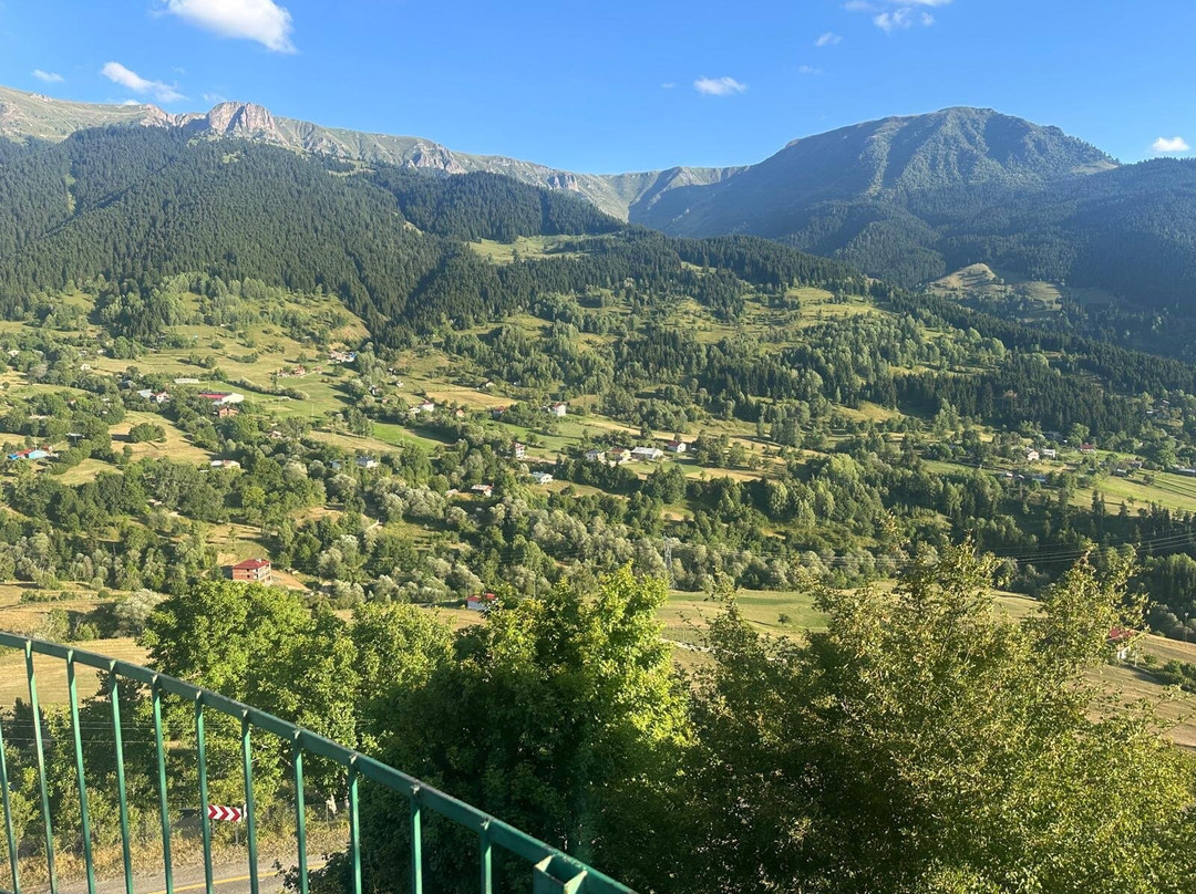 Yavuzköy orman parkı Seyir yeri-Savsat必去景点