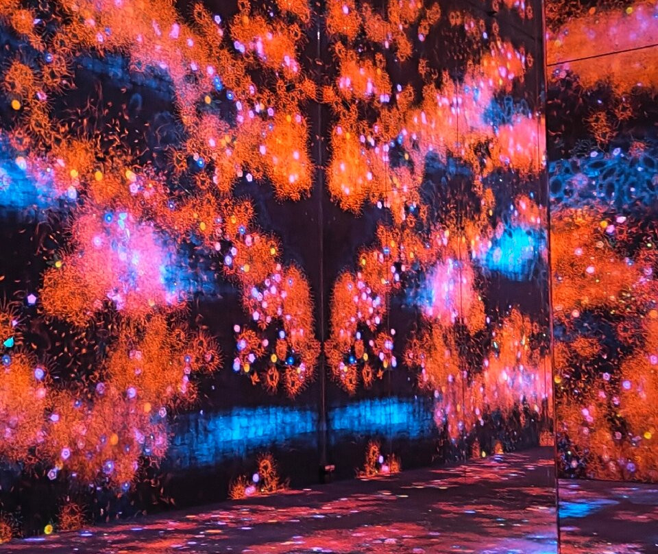 teamLab Borderless Jeddah-吉达必去景点