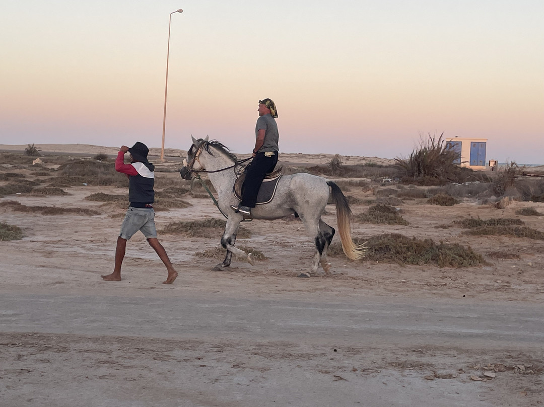 Ennakhil de tourisme Djerba-米栋必去景点