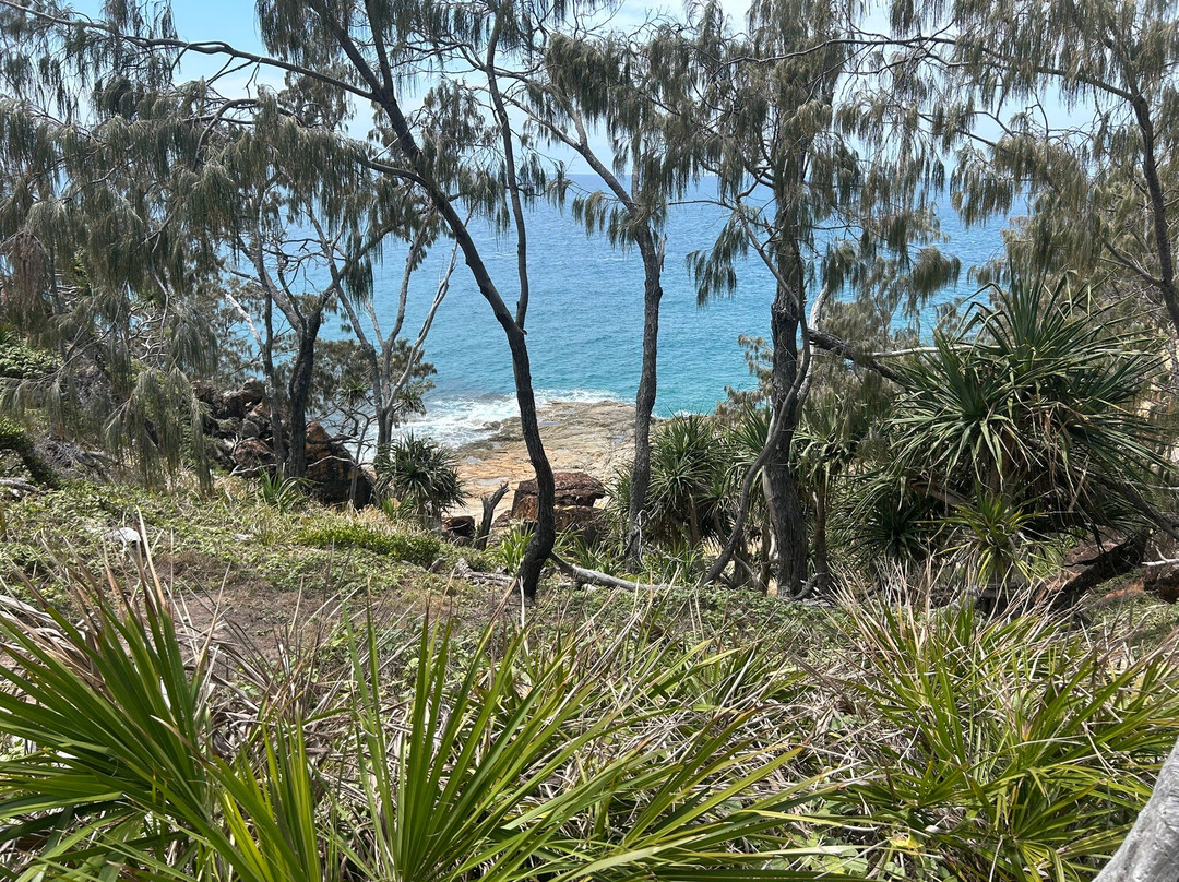 Joseph Banks Regional Park-1770镇必去景点