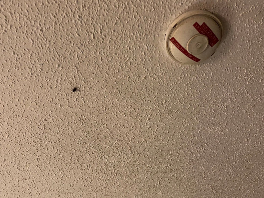 The Lucerne Inn主图