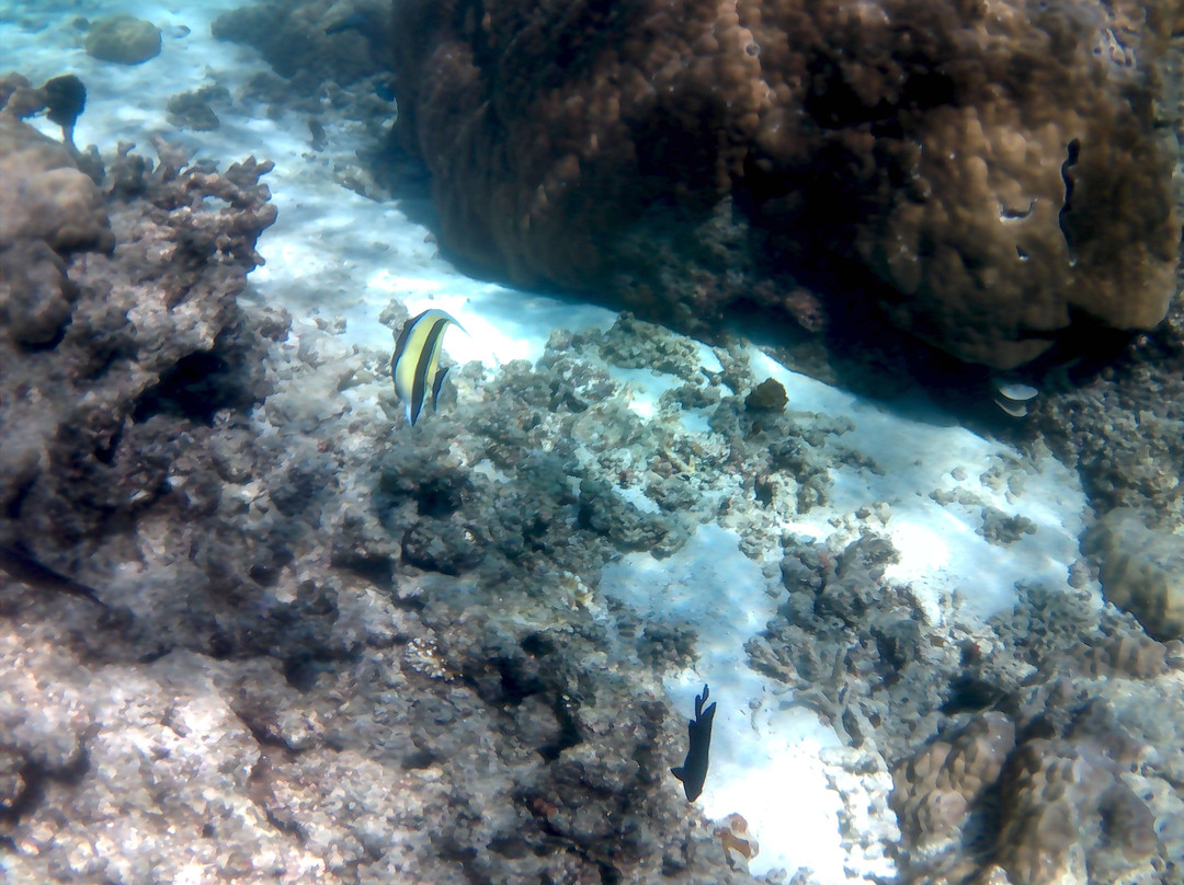 Simizu Island-爱妮岛必去景点