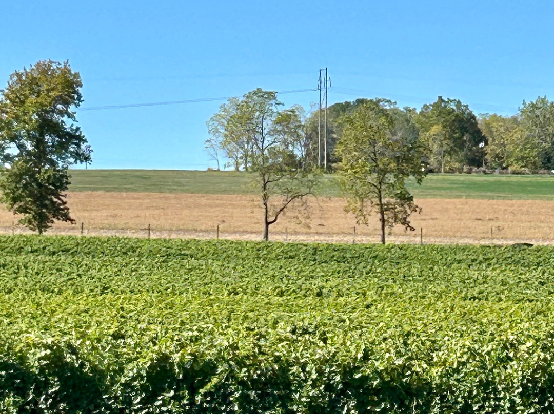 Red Tail Ridge Winery-Penn Yan必去景点