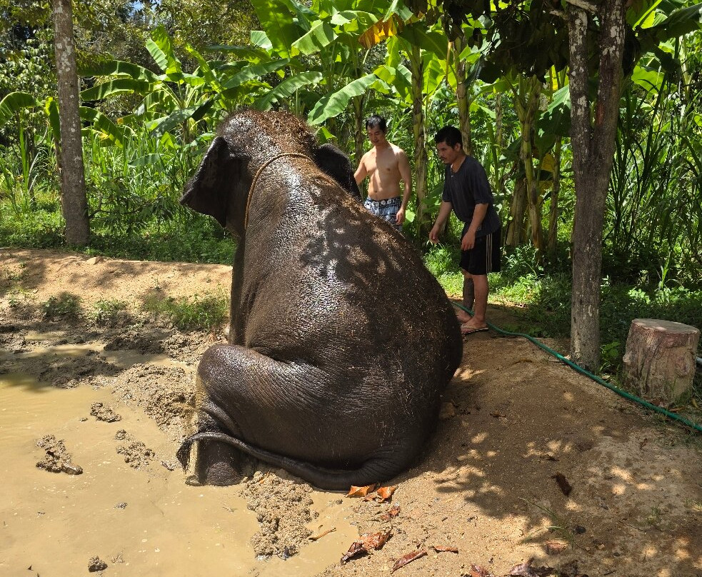 Samui Elephant Spa-苏梅岛必去景点