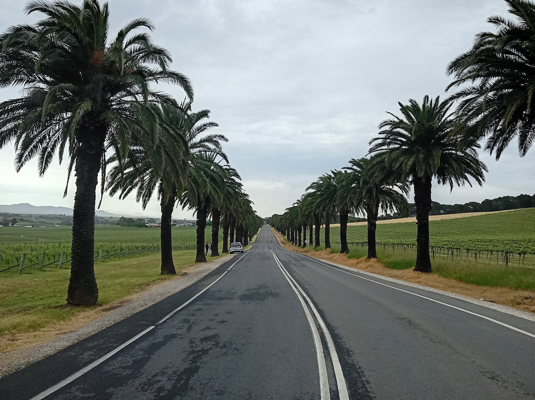 Barossa Cruisin-努里乌特帕必去景点