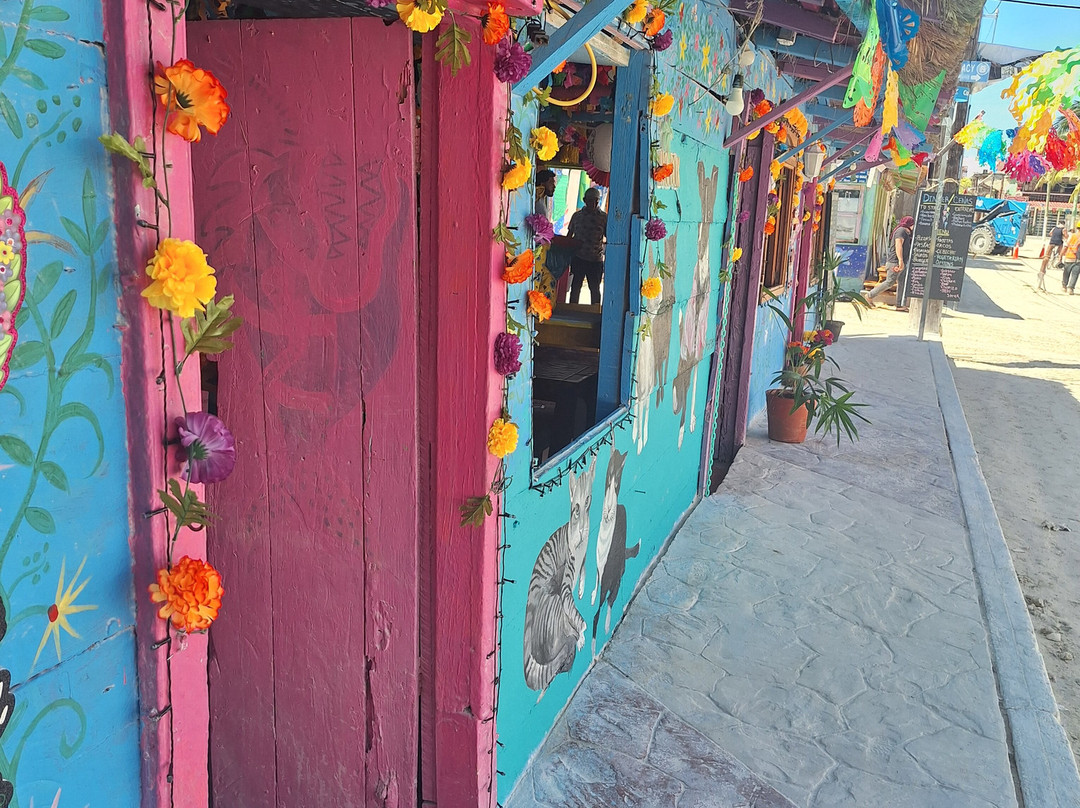 Paseo Tours-普拉亚德尔卡曼必去景点