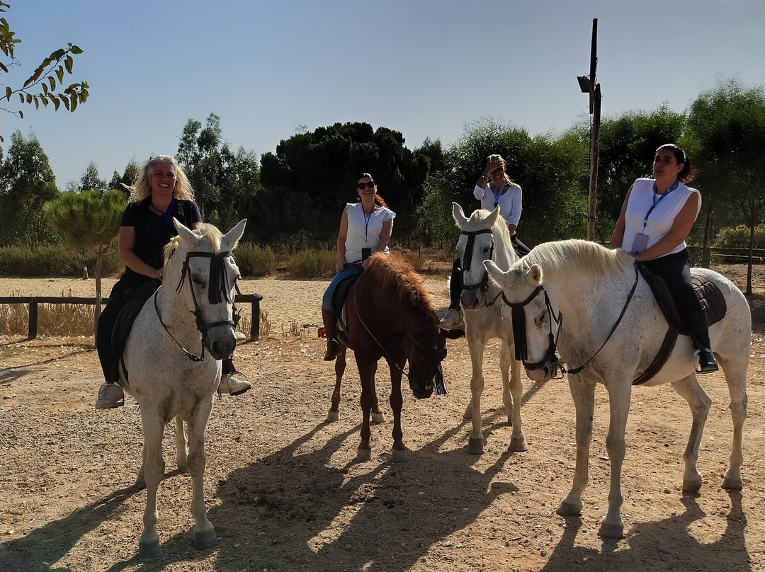 Dehesa Boyal-Villamanrique de la Condesa必去景点