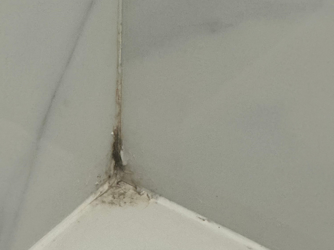 Days Inn by Wyndham Athens Alabama主图