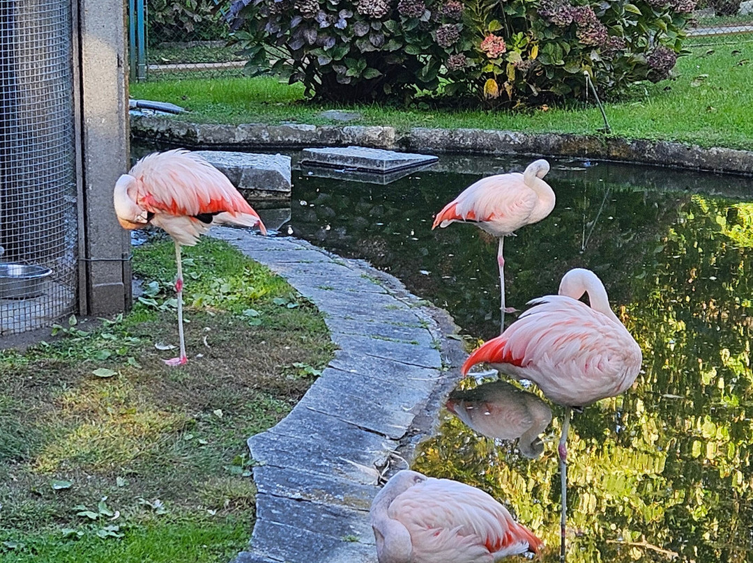 Park Pallavicino-斯特雷萨必去景点