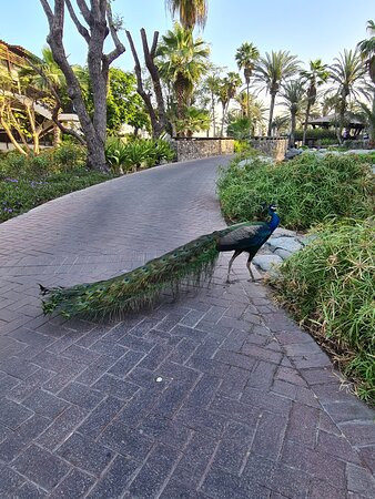 棕榈树水疗酒店主图