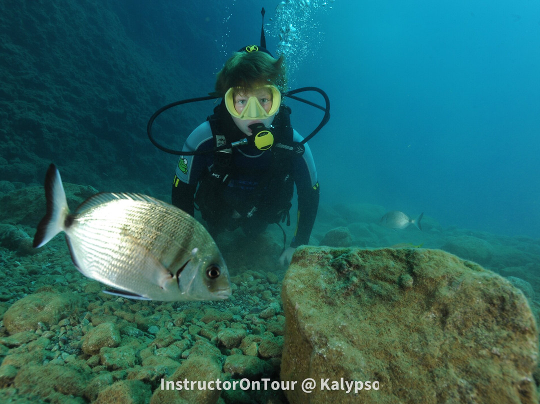 Kalypso Dive Center & School-雷斯蒙必去景点