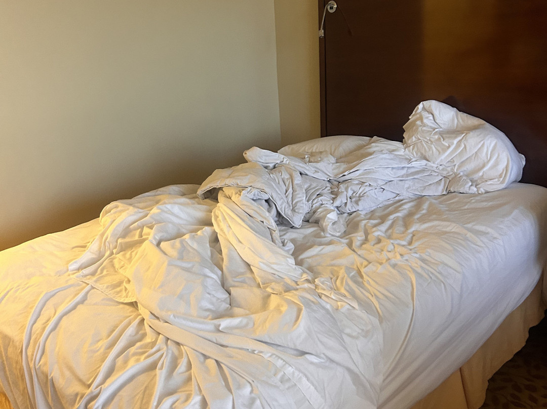 New Orleans Marriott Metairie at Lakeway主图