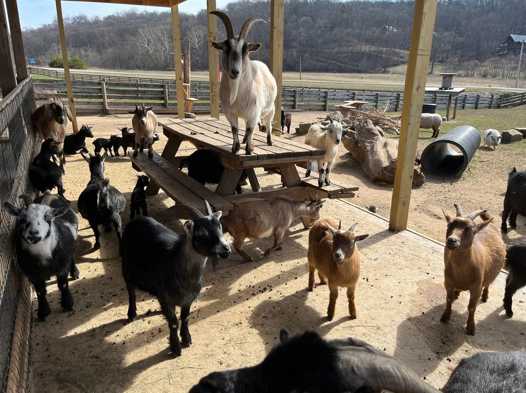 Fox's High Rock Farm