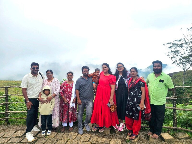 Green Tree Tours & Travels