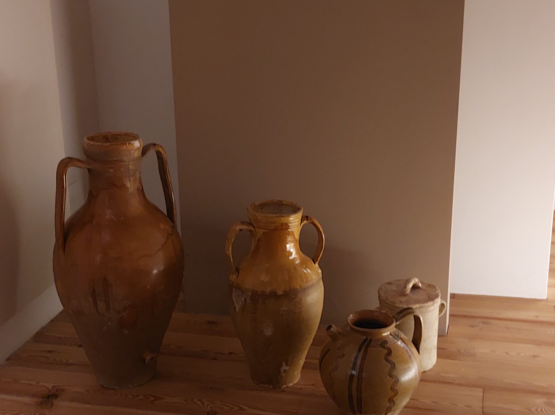 Bio & B Italyke主图