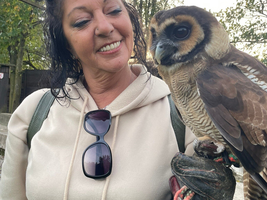 Il Regno Dei Rapaci-Gessate必去景点