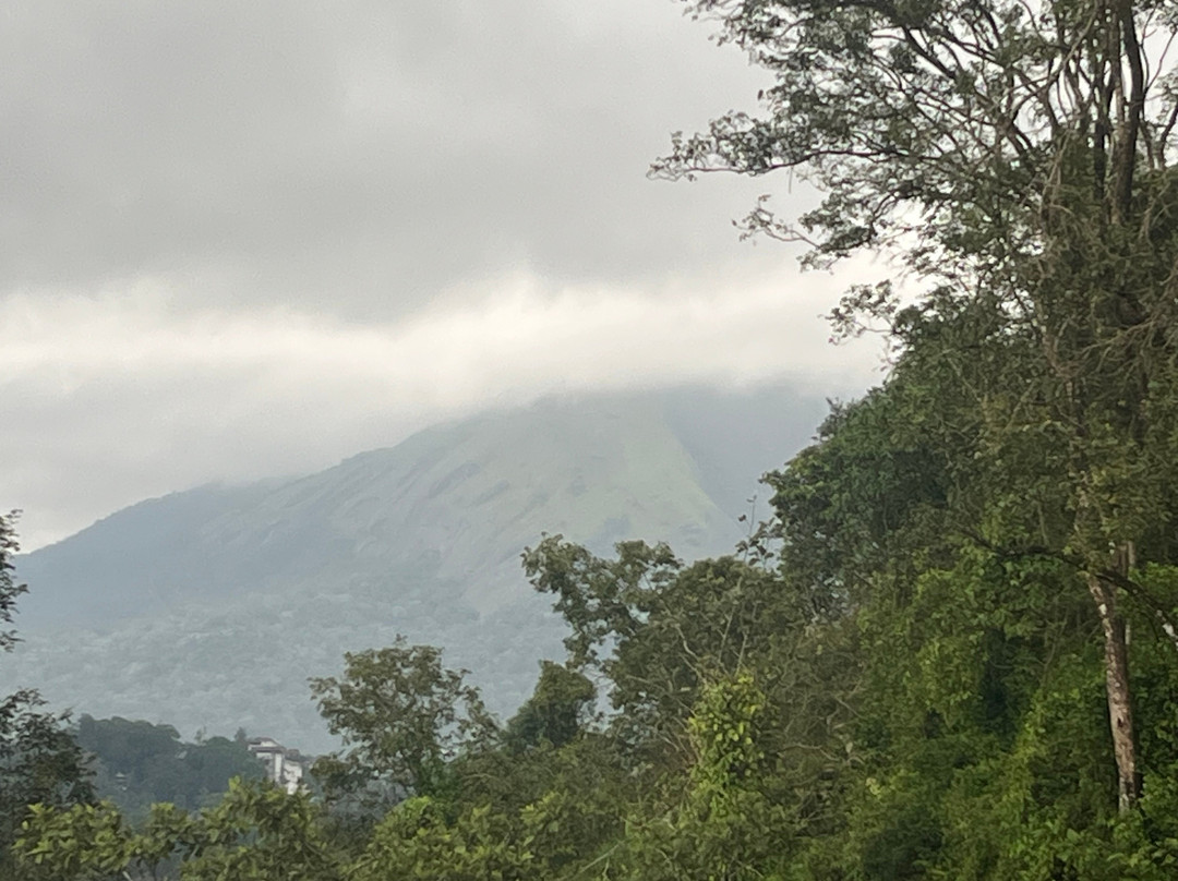 Velvet Clouds Munnar