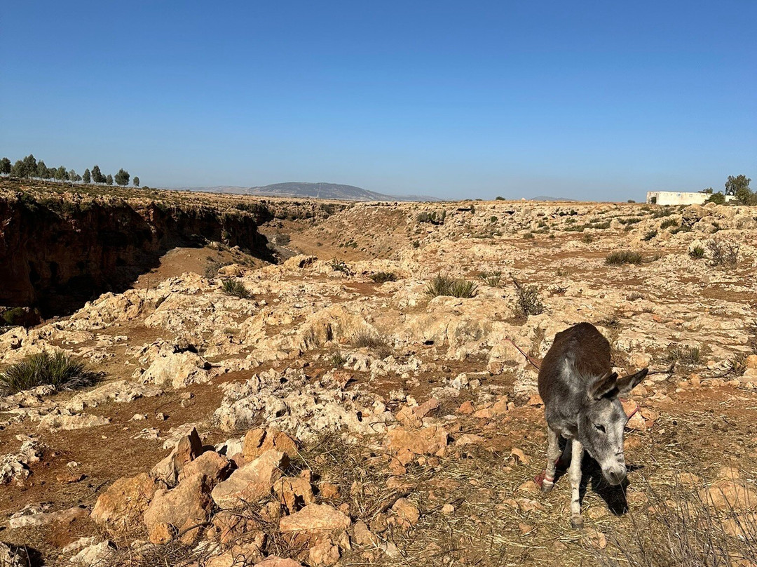 Bachir & Freres Tours-非斯必去景点