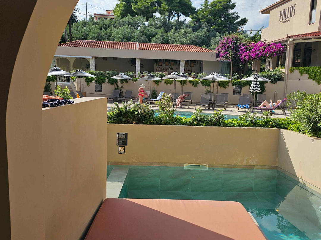 帕拉斯酒店主图