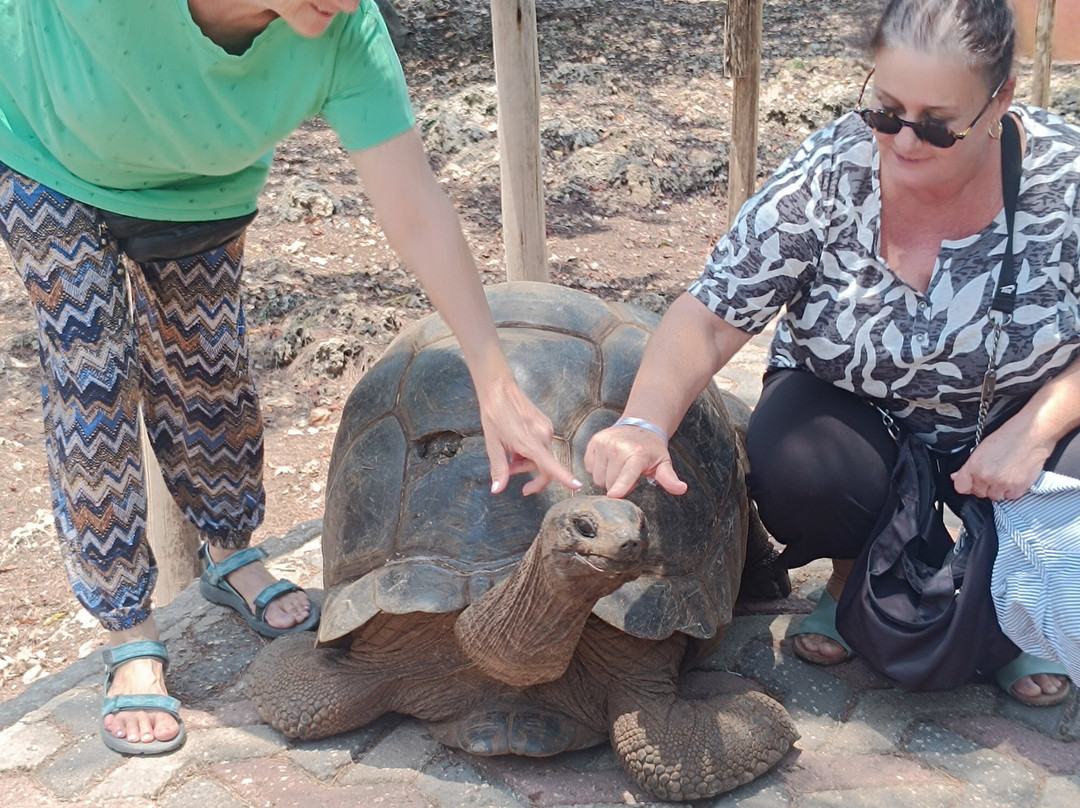 Bravo Zanzibar Travel-桑给巴尔市必去景点