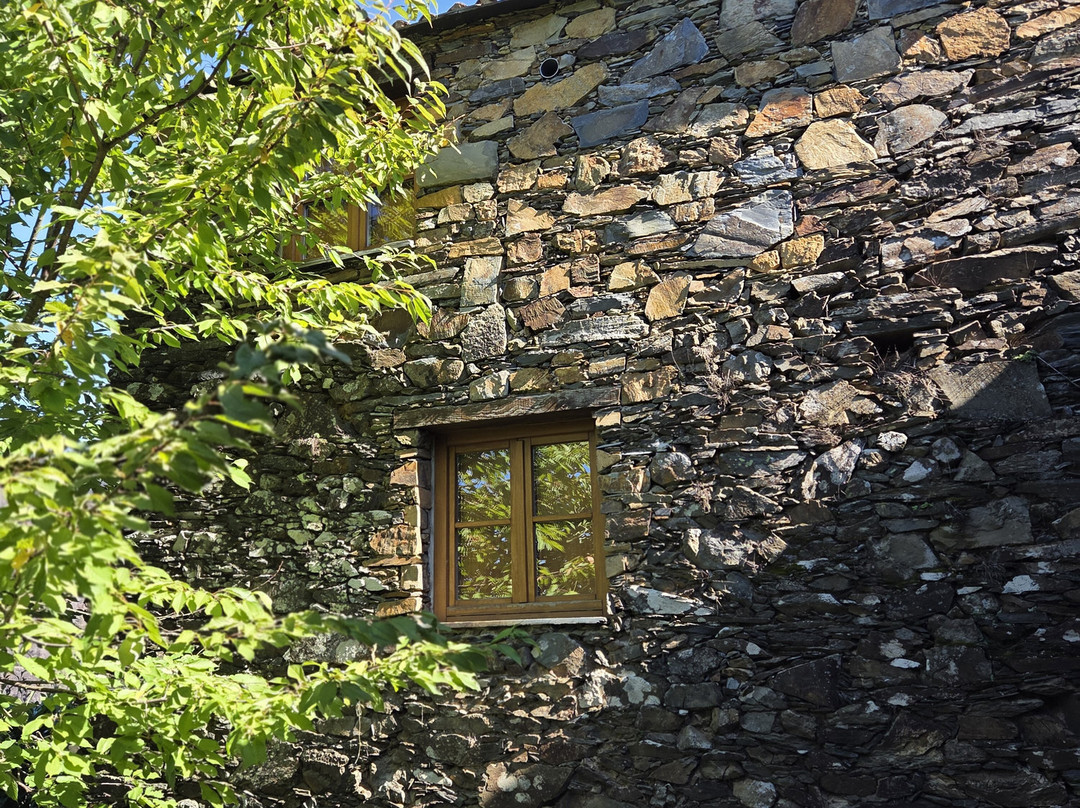 Viver Bem Portugal - Transfers e Tours Privados-波尔图必去景点