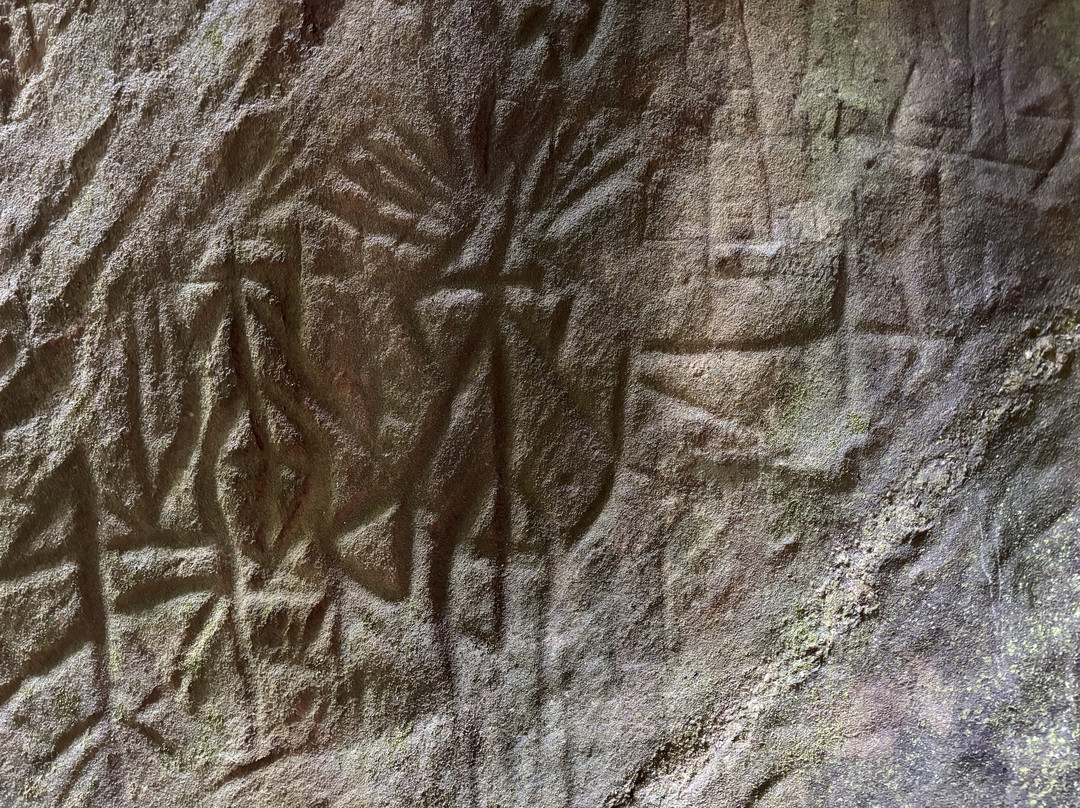 Wayanad Nature Tours-卡尔贝塔必去景点