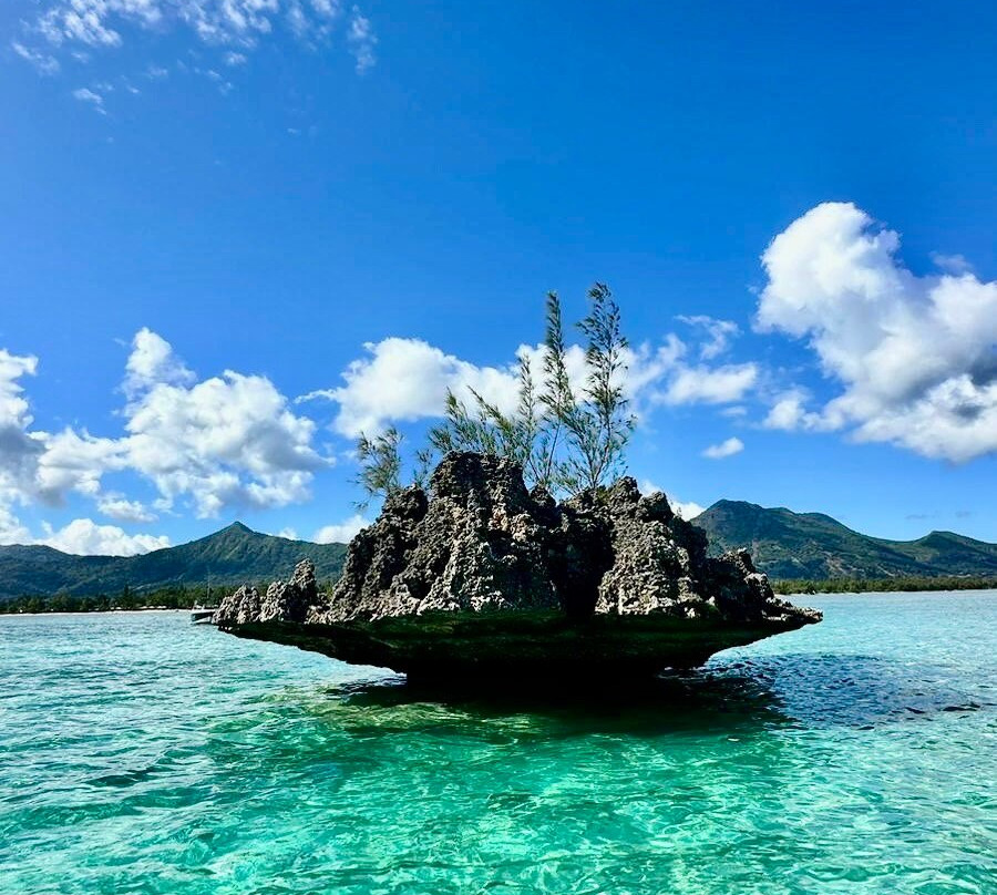 Mauritius Private Transfers & Tours Taxi” et “Guided Tours-博尚必去景点