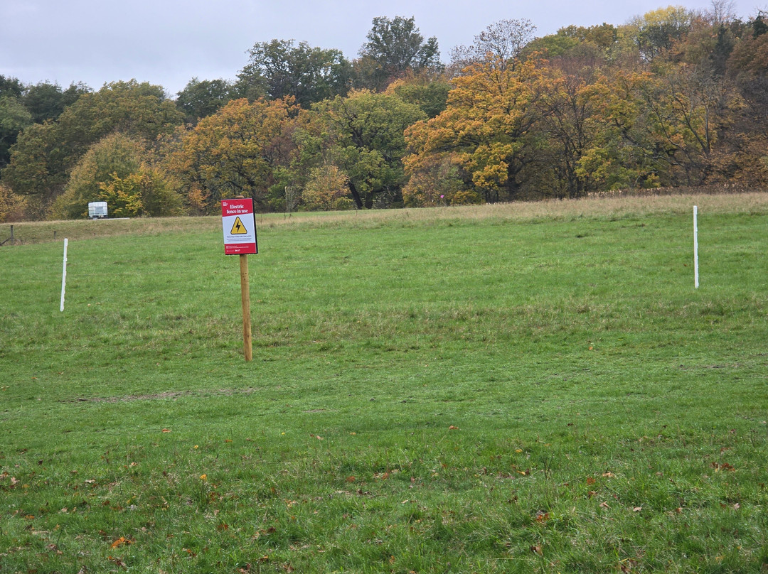 Weald Country Park-布伦特伍德必去景点