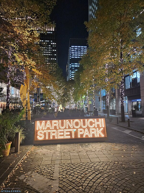 Marunouchi Naka Street-Marunouchi必去景点