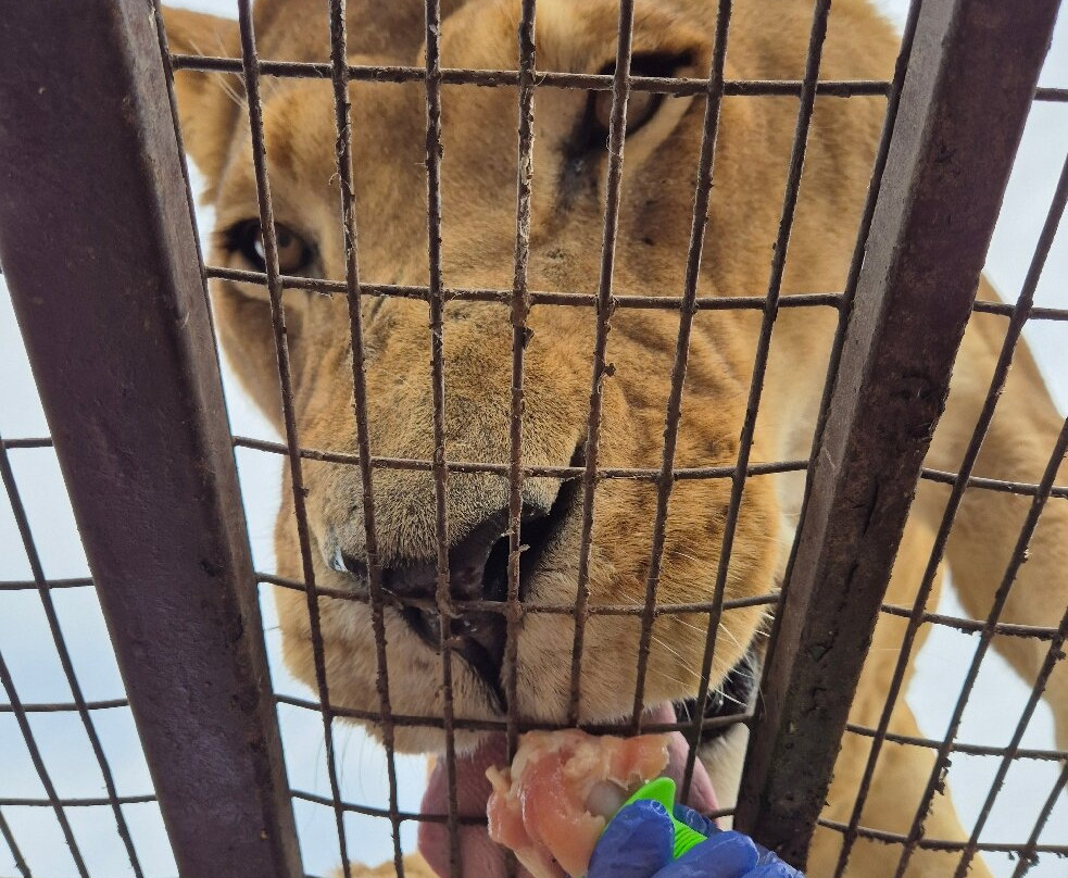 Parque Safari-兰卡瓜必去景点