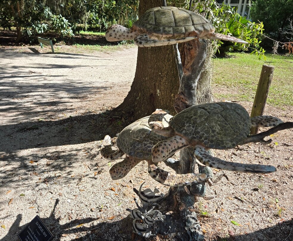 Coastal Discovery Museum-希尔顿头岛必去景点