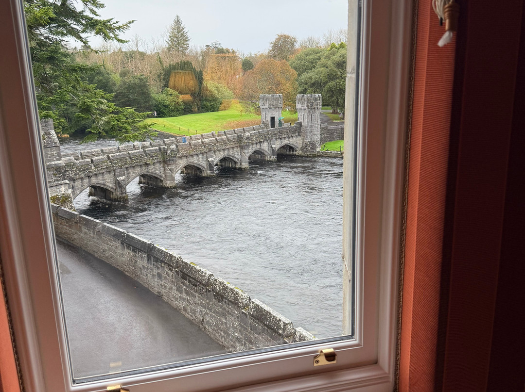 Lydon’s of Galway-都柏林必去景点