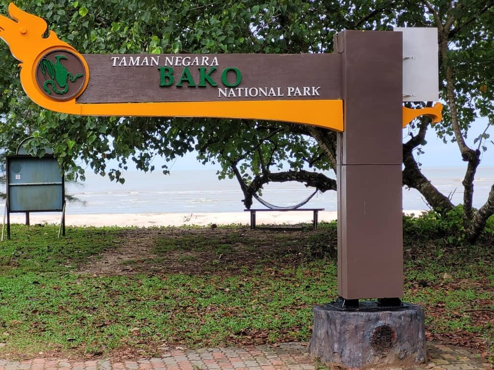 Bako National Park-古晋必去景点