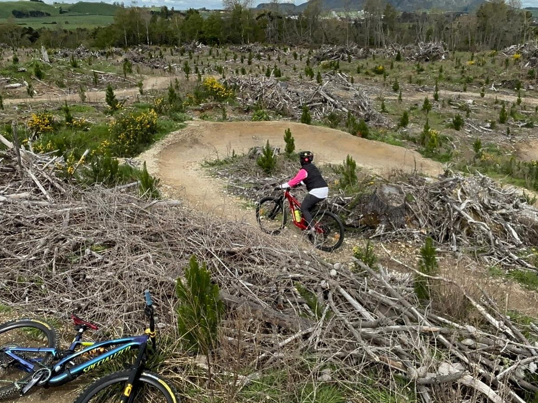 FourB - Bike Tours, Shuttles & Hire-陶波必去景点