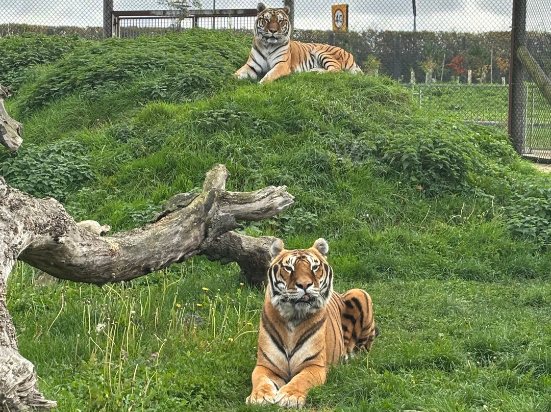 Wolds Wildlife Park-Horncastle必去景点