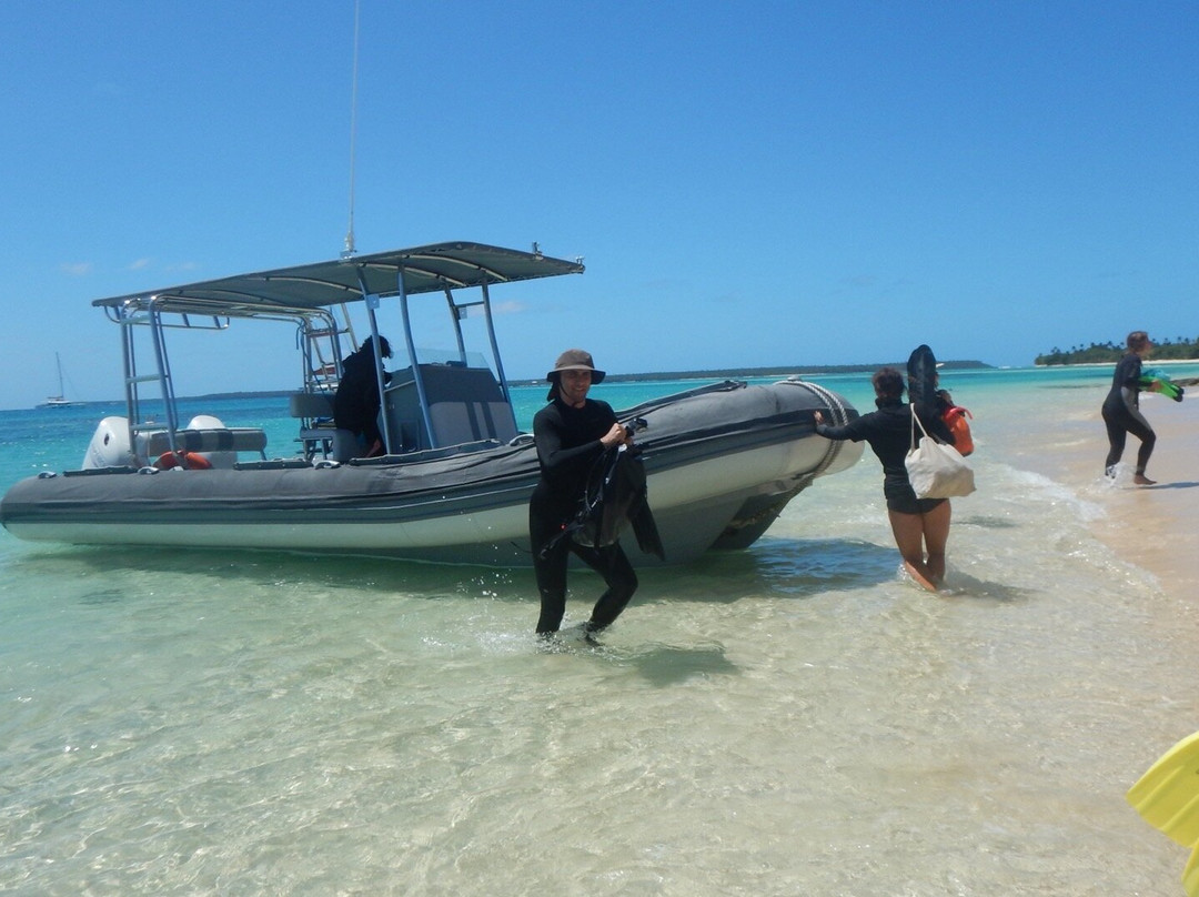 Majestic Whale Encounters-Foa Island必去景点