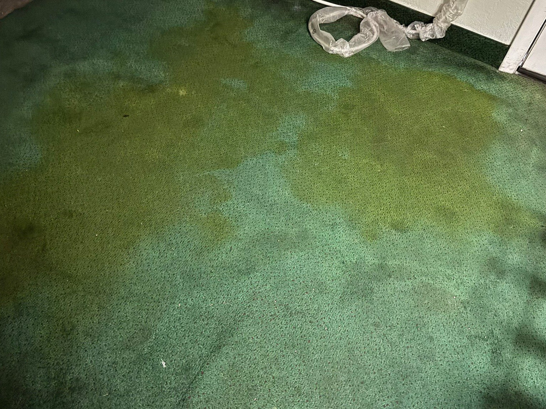 Knights Inn Ottawa主图