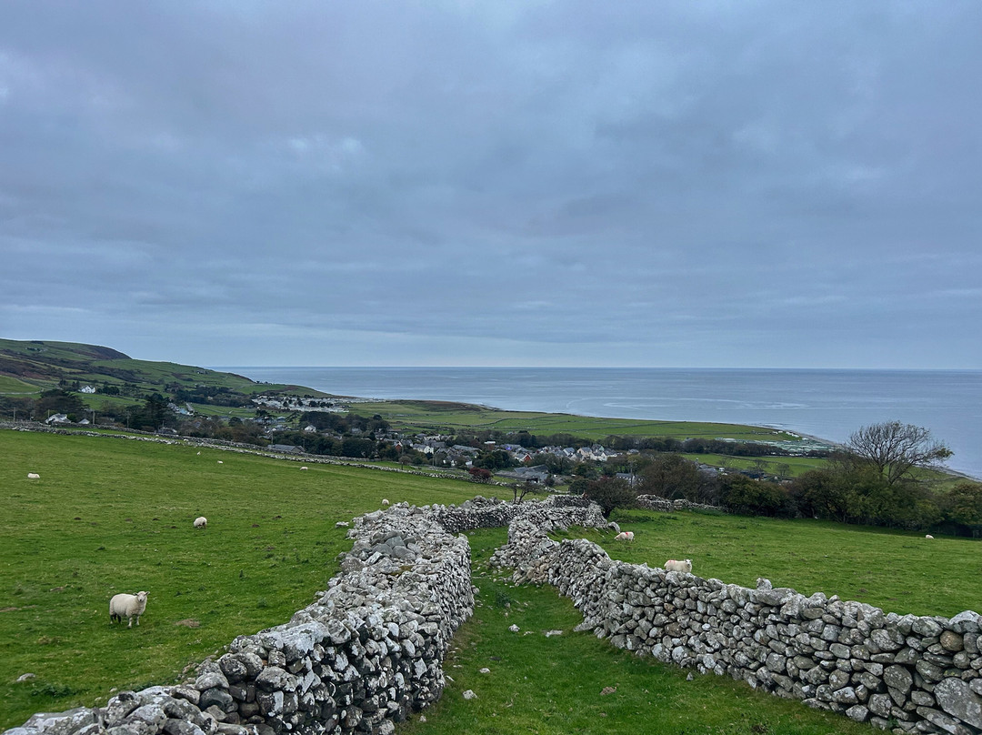 Hendre Hall Campsite