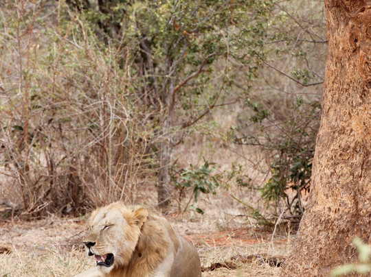Filippo Bassa Marea-瓦塔木必去景点