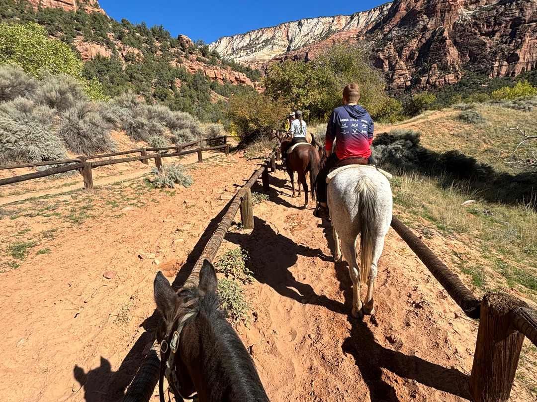 Canyon Trail Rides-锡安国家公园必去景点