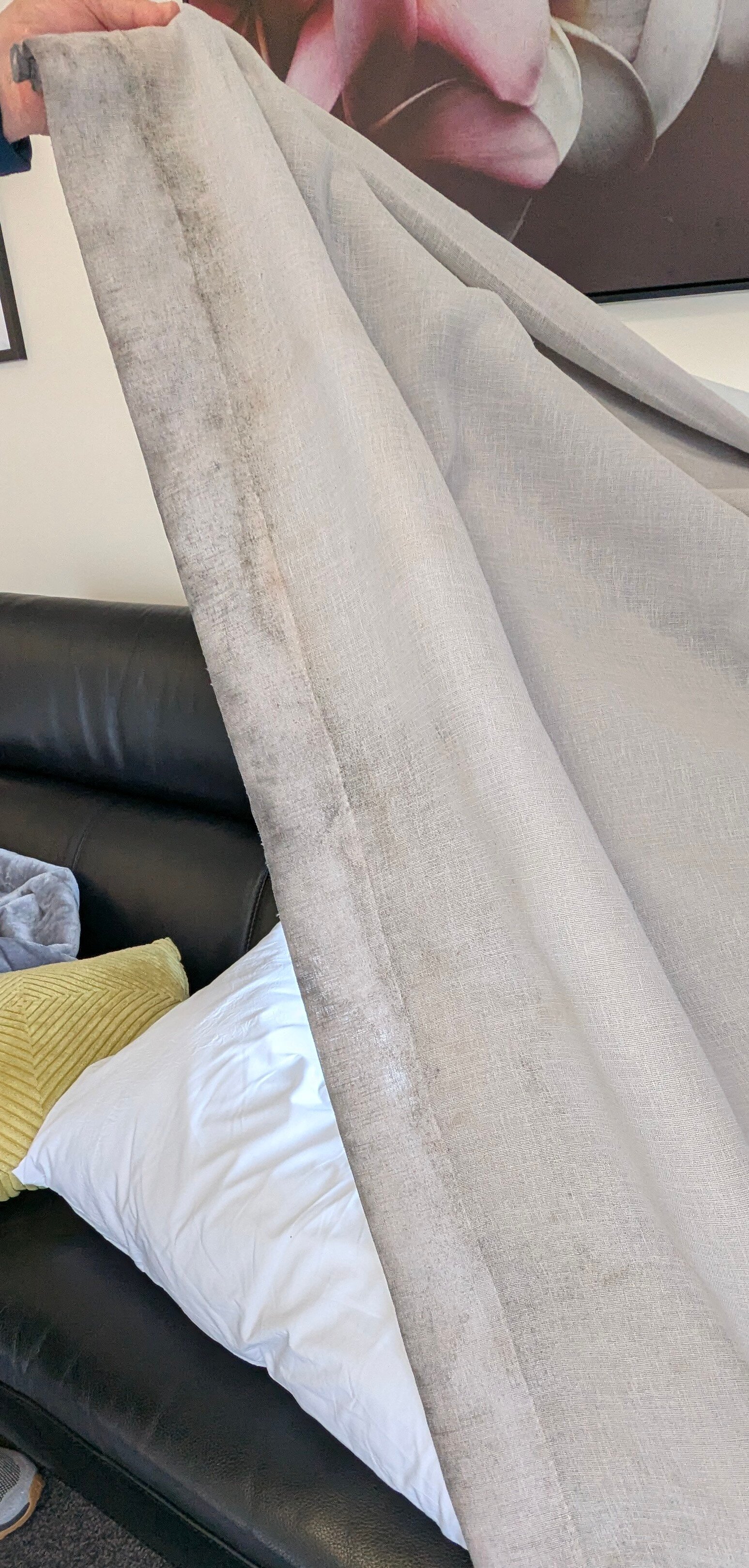 惠斯勒酒店-官方